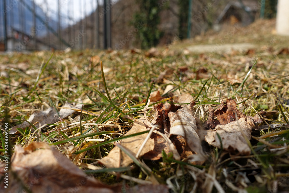 autumn autumn