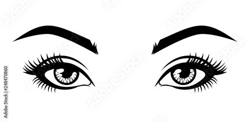 Abstract fashion illustration of the natural eyebrows and eyelashes. Vector idea for business visit cards  templates  web  salon banners  brochures. .