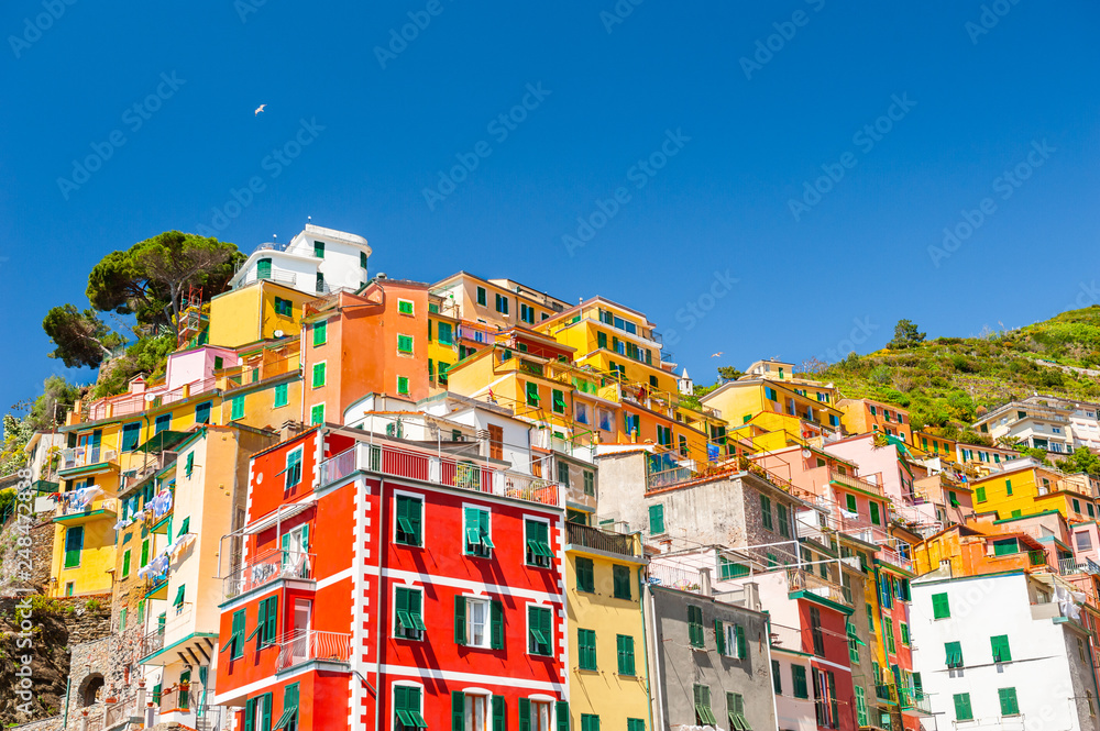 Colorful houses in Riomaggiore, Cinque Terre, Italy