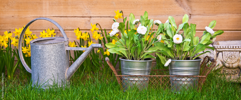 Watering can and flowers in a garden Watering can and flowers in a garden