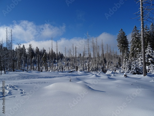 Snow in the Harz, Germany