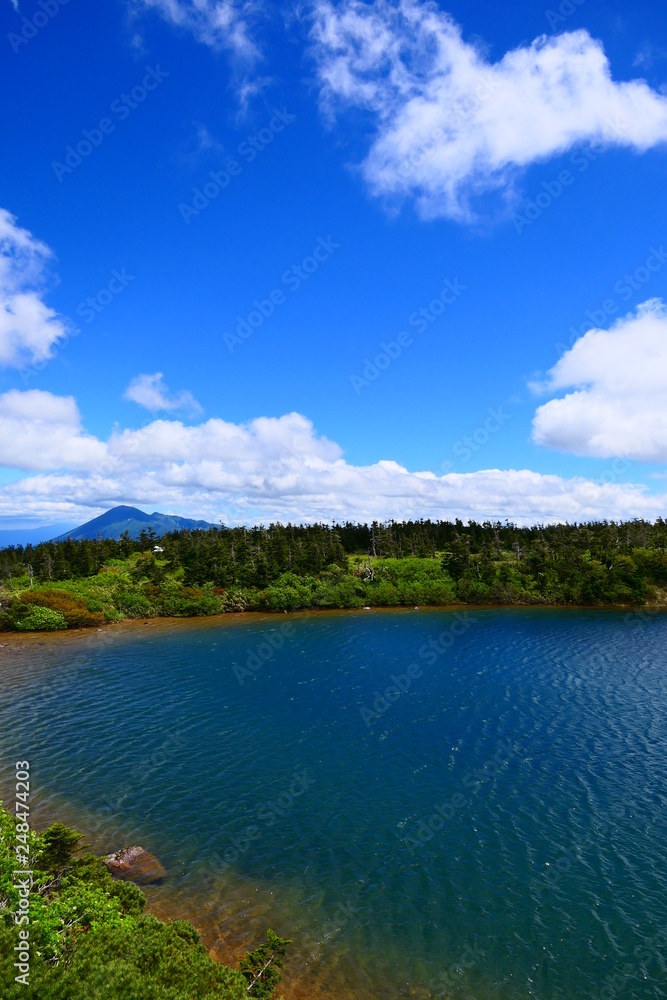 十和田八幡平国立公園。初夏のガマ沼。八幡平　岩手　日本。６月下旬。