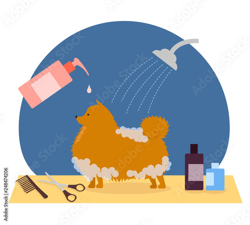 grooming, pet care, dog care
