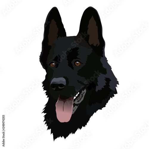 German Shepherd Vector Illustrations