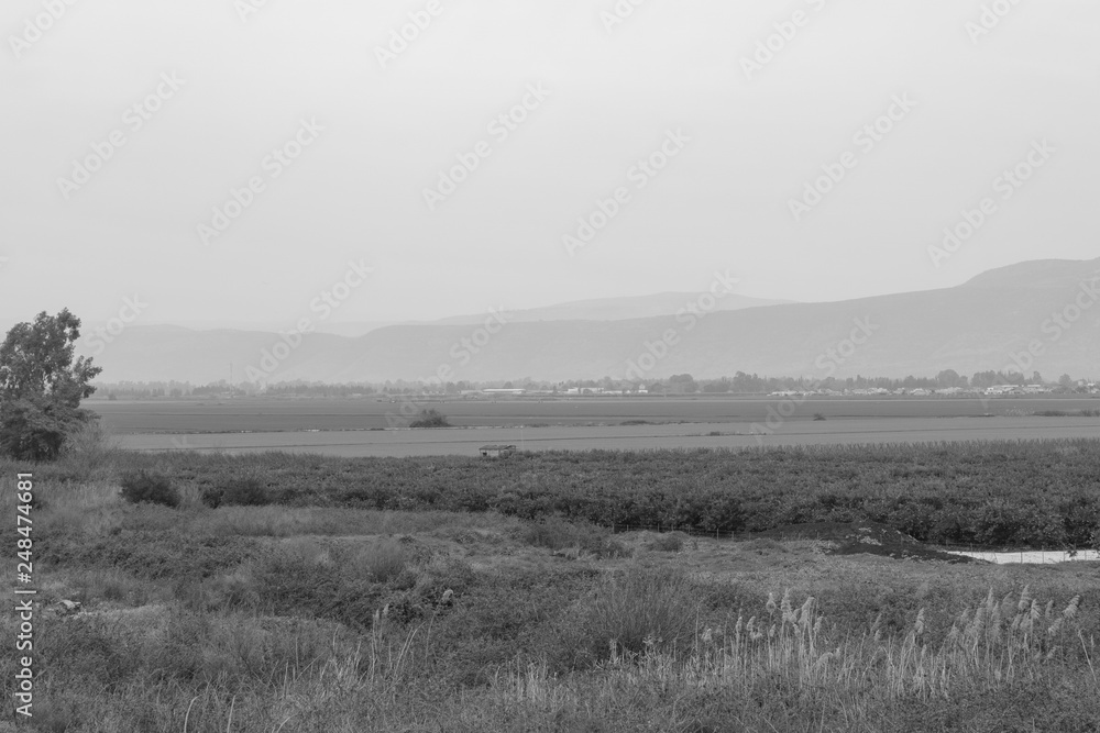 Hula Valley in a foggy day