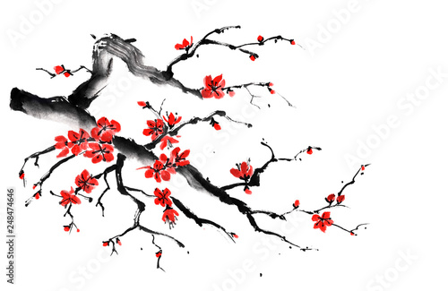 Ink illustration of branch of flowering red plum. Chinese painting. Hand drawn