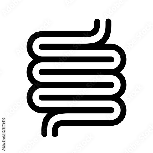 Colon vector icon