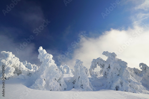 Wallpaper Mural bezaubernde Winterlandschaft in den Bergen Torontodigital.ca