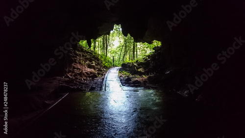 The entrance of a cave with the colorful rainforest in the background photo