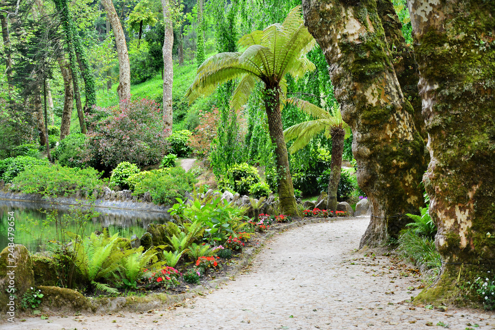 Park w Sintra, Portugalia Park w Sintra, Portugalia