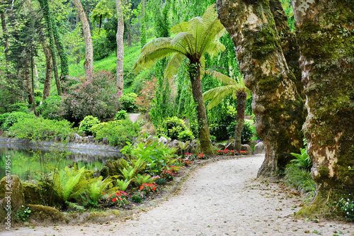 Park w Sintra, Portugalia