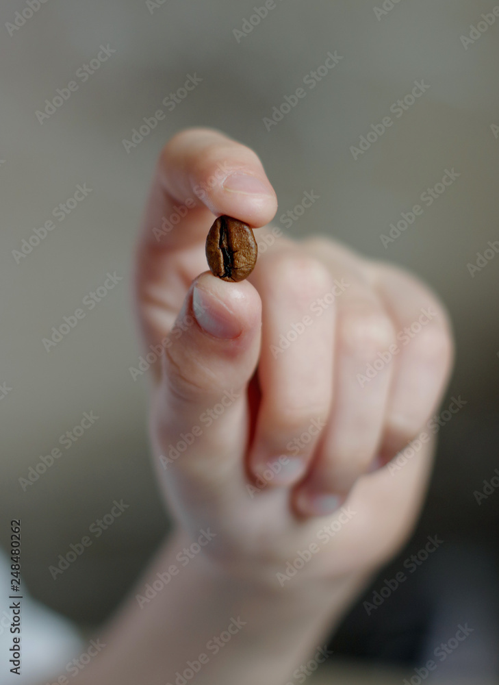 Coffee bean. Coffee seed in hand. Roasted Coffee Bean