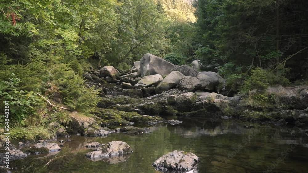 Slow camera movement in an atmospheric forest with a lake. Slow camera movement in an atmospheric forest with a lake.