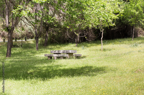 stone table for picnic in the shade of a tree in a forest