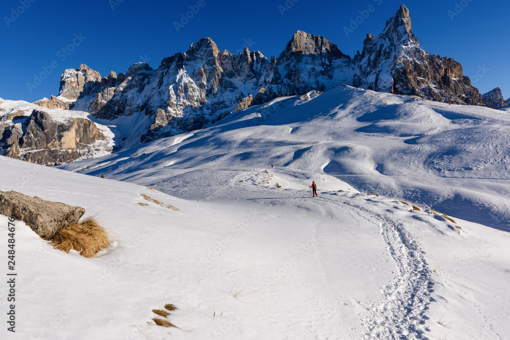 Obraz premium Passo Rolle, Pale di San Martino mountain, Trentino Alto Adige region, Dolomites Alps, Italy, Europe