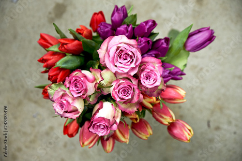 rosa rosa e bianca con tulipani viola rossi 