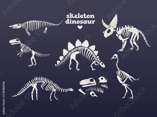 Vector t-rex dinosaur fossil skeleton icon on blue