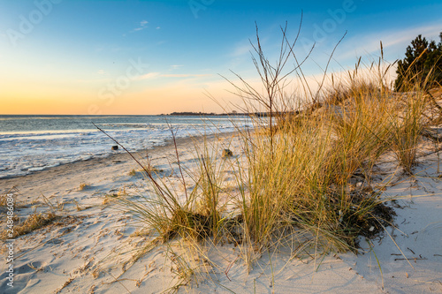 Sand dunes and sandy beach in the Hel Peninsula in the light of the evening sun. Poland
