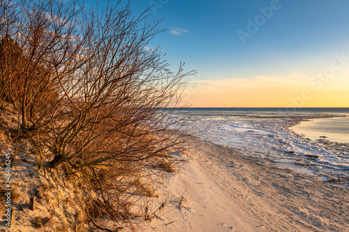 Fototapeta Naklejka Na Ścianę i Meble -  Sandy beach in the Hel Peninsula in the light of the evening sun. Poland