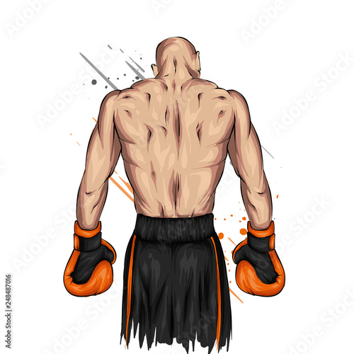 Boxer in shorts and gloves. Male athlete. Vector illustration for greeting card or poster. Sport, fight, athlete ready for battle. Sportsman.