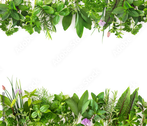 Slika na platnu Fresh garden herbs isolated on white background