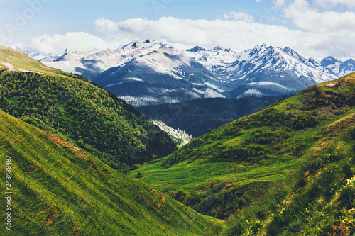 Fototapeta Naklejka Na Ścianę i Meble -  unning beautiful fabulous view of green hills