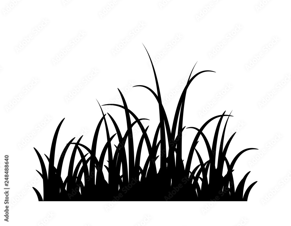 Fotografija grass