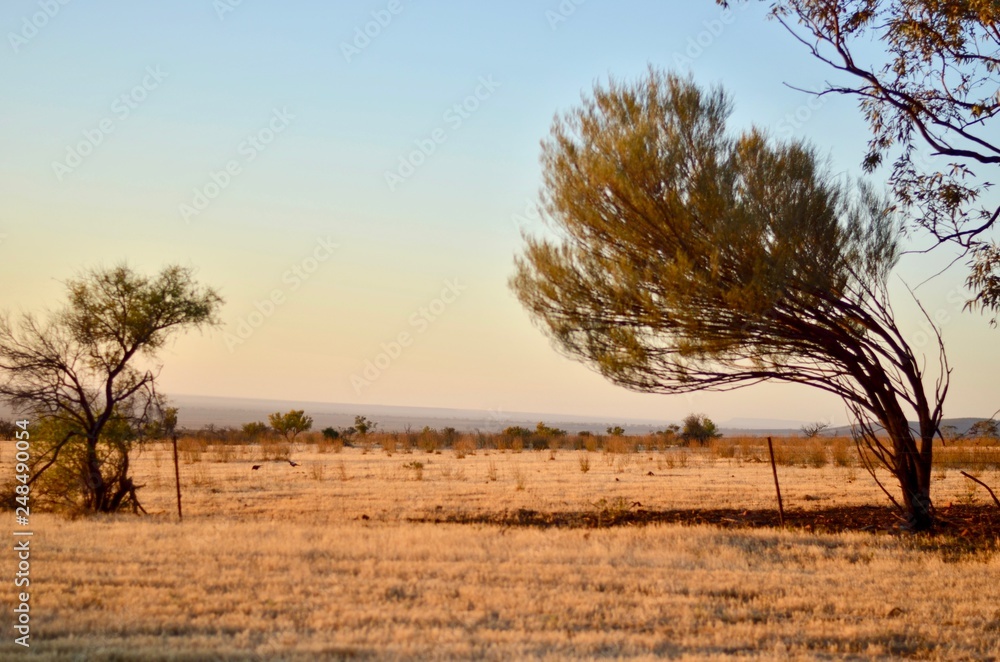 Central Australia, Outback desert