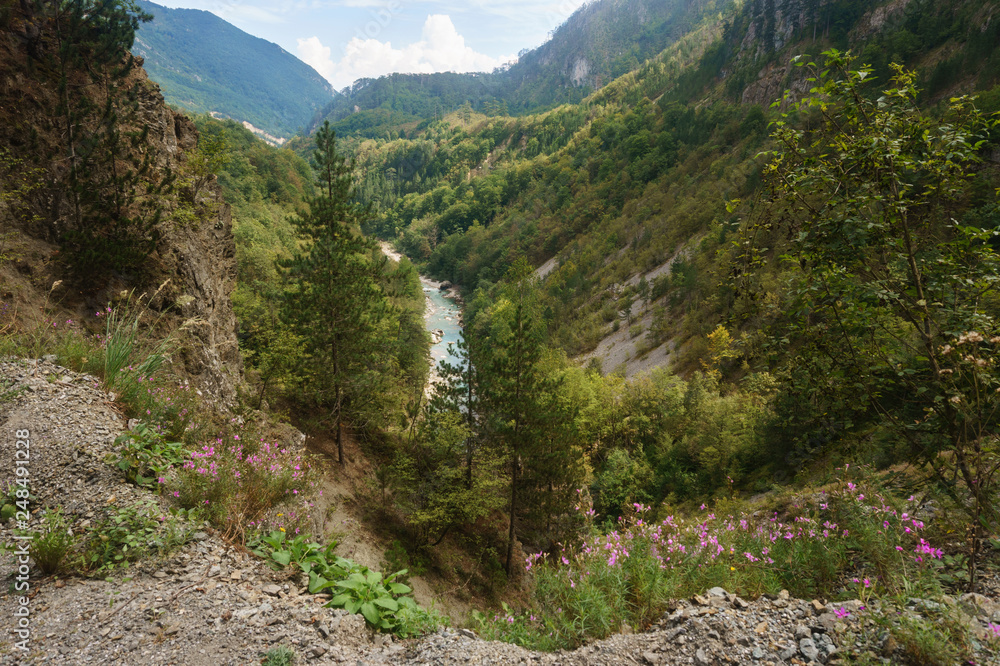 Picturesque wooded mountains in the canyon of the river Tara, Montenegro Picturesque wooded mountains in the canyon of the river Tara, Montenegro