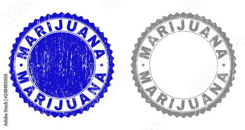 Grunge MARIJUANA stamp seals isolated on a white background. Rosette seals with distress texture in blue and gray colors. Vector rubber stamp imprint of MARIJUANA text inside round rosette.