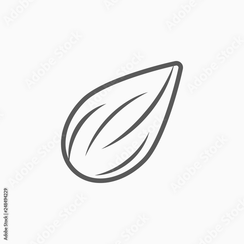 almond icon, almond vector