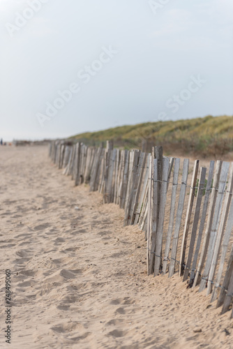 Beautiful seaside weathered wooden fences on a beautiful relaxing calm sandy beach with sand dunes behind, shot with a shallow depth of field. Nature reserve.