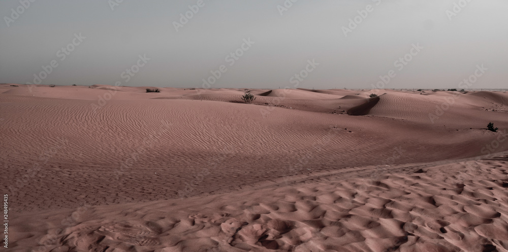 Fototapeta premium sand dunes in the desert