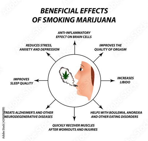Useful properties of smoking cannabis. Cannabis treatment. Cannabinoid, hemp. Marijuana leaf and human brain. Infographics. Vector illustration on isolated background.