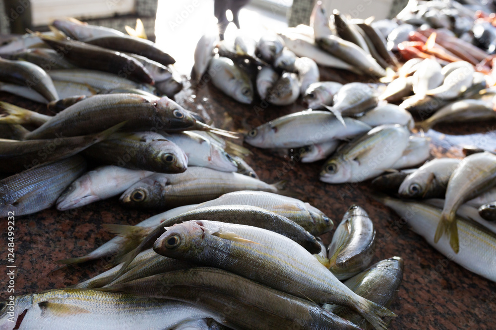 Fototapeta premium fresh fish at the market