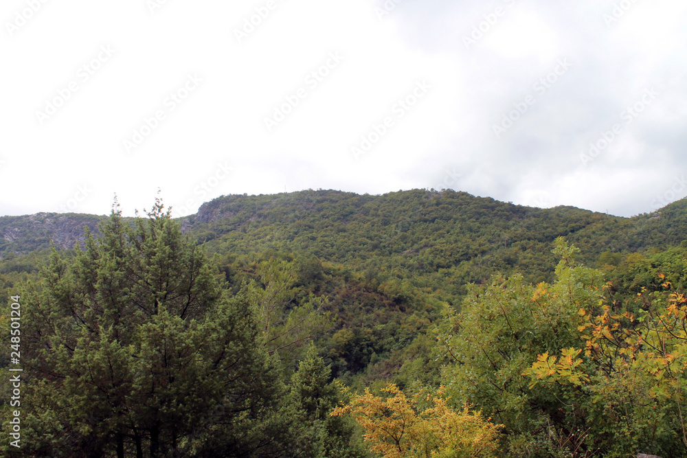 the national Park of Skadar Montenegro