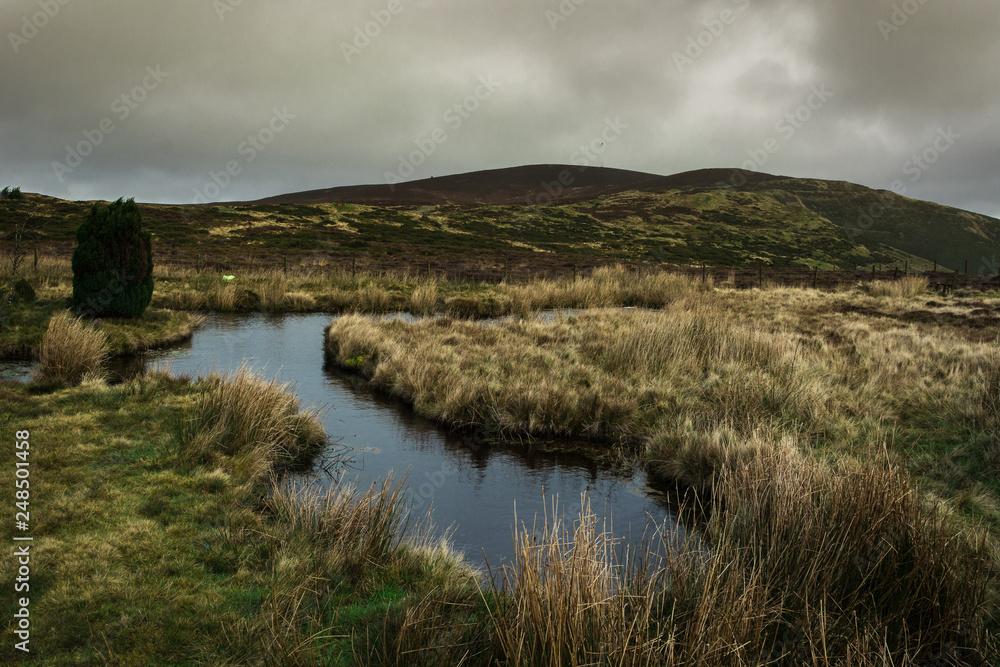 Welsh Moors Landscape