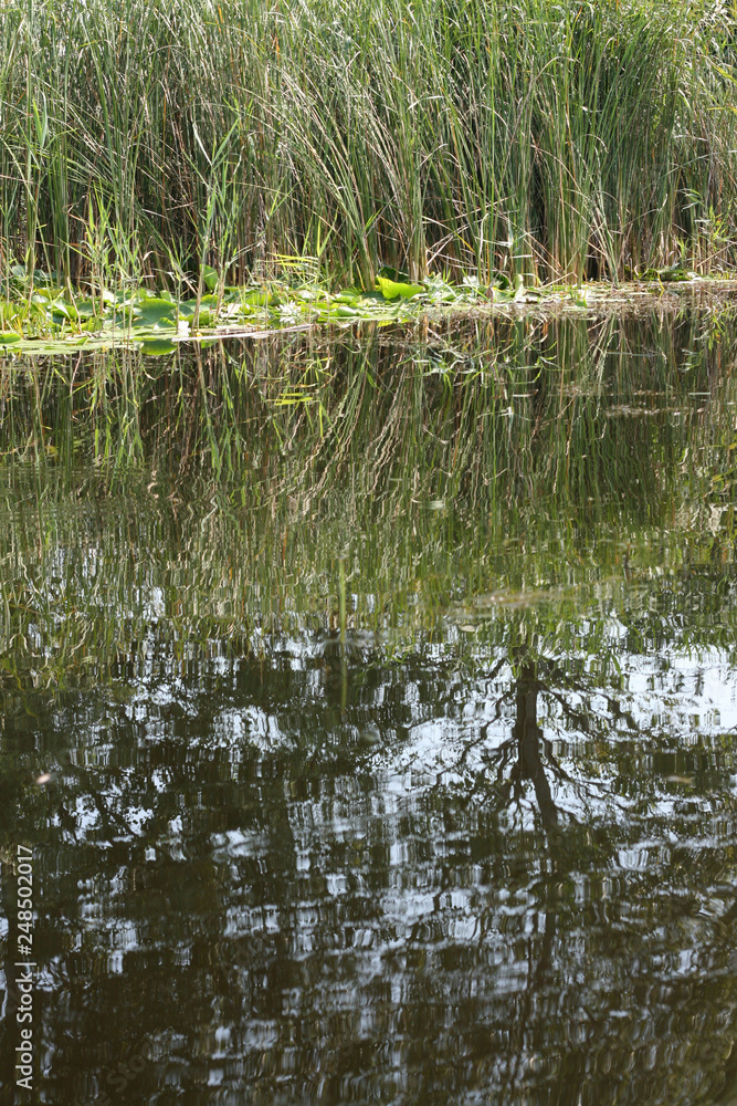 Danube Delta canals Danube Delta canals