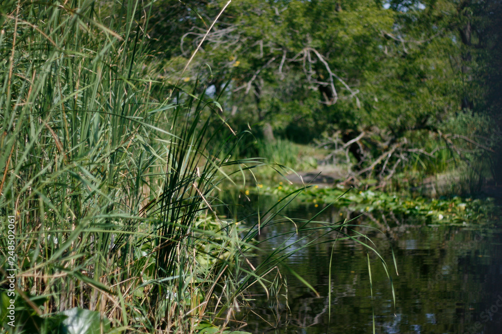 Danube Delta canals Danube Delta canals