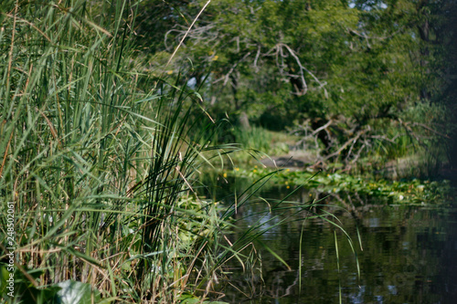 Danube Delta canals