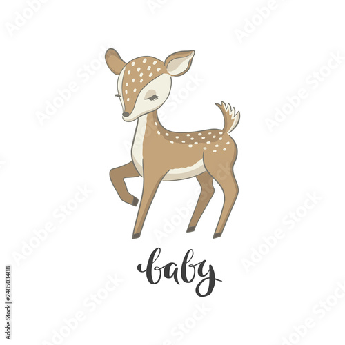 Baby deer vector illustration