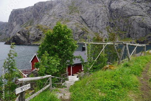 Hütte am Nusfjord Norwegen