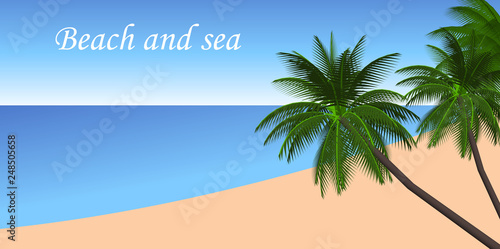 tropical beach background with palms and blue sky