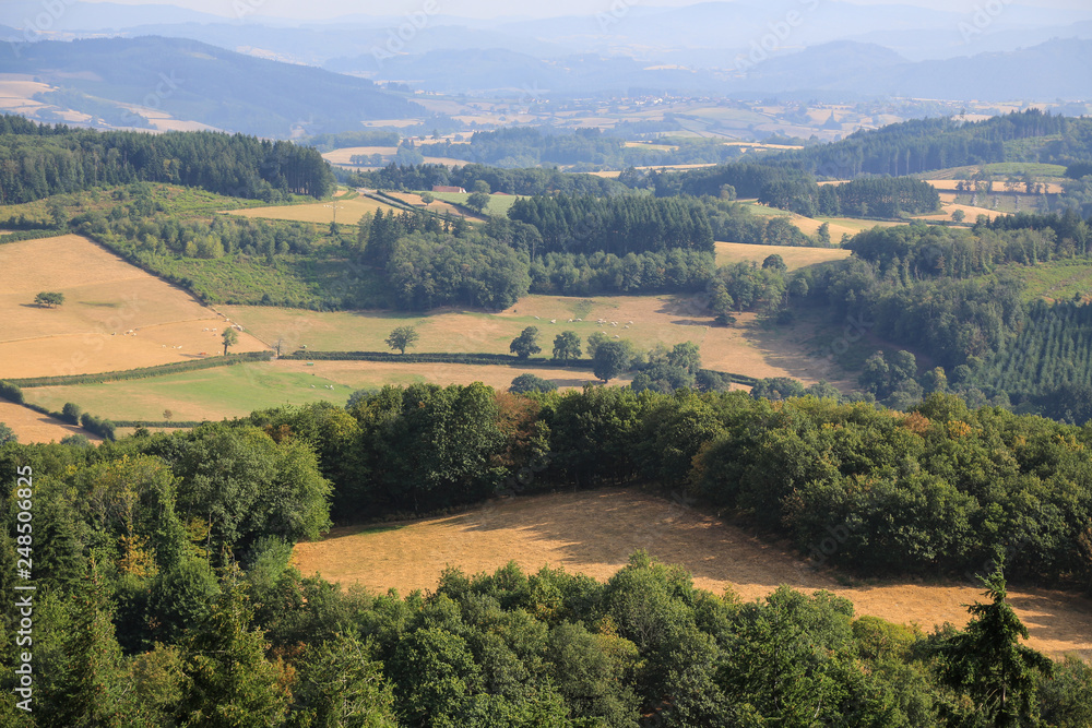 Burgund, Frankreich: Blick auf die Hügel-, Wald- und Wiesenlandschaft des Charollais vom Butte de Suin