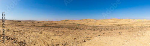 Panorama of stone desert at winter