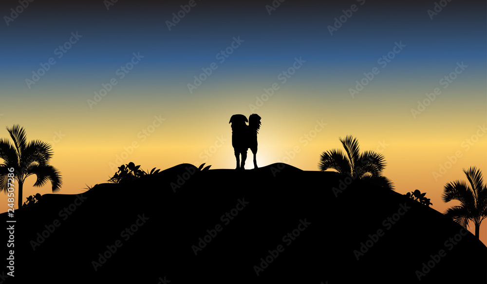 silhouette of a man in the desert