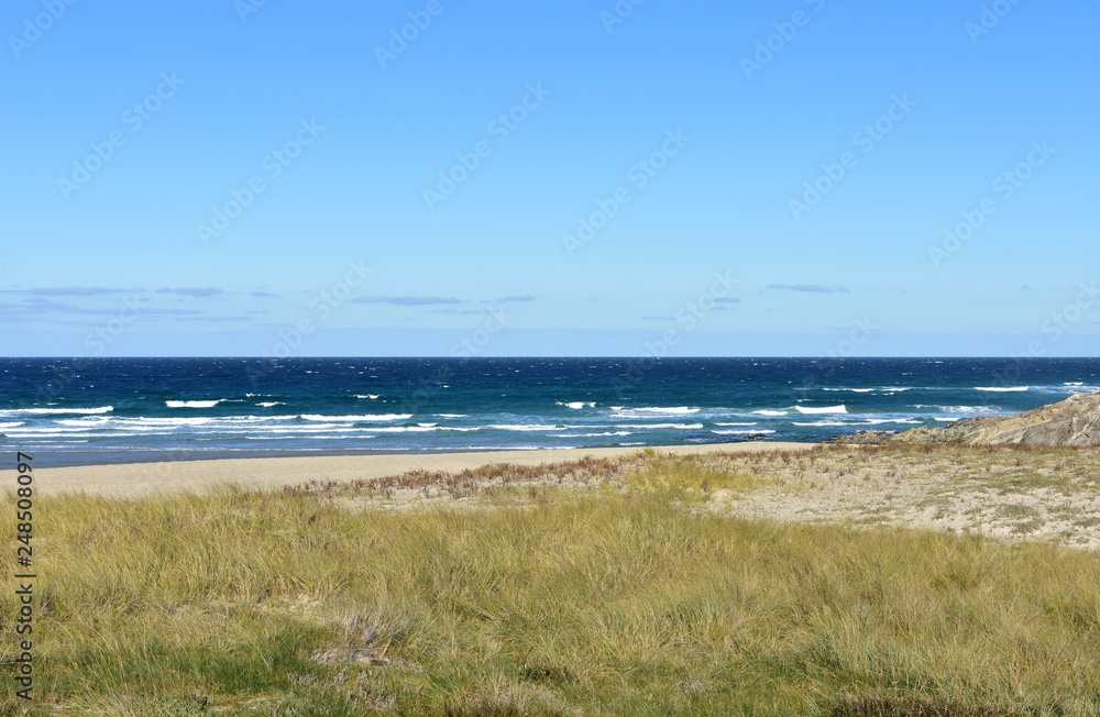Beach with grass, sand dunes and blue sea with waves and foam. Clear sky, sunny day. Galicia, Spain.
