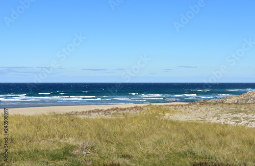 Beach with grass  sand dunes and blue sea with waves and foam. Clear sky  sunny day. Galicia  Spain.