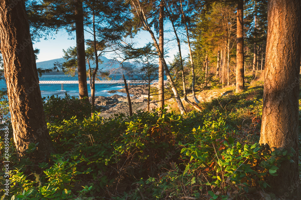 The scenic landscapes of Bowen Island near Vancouver British Columbia Canada fine art photography The scenic landscapes of Bowen Island near Vancouver British Columbia Canada fine art photography