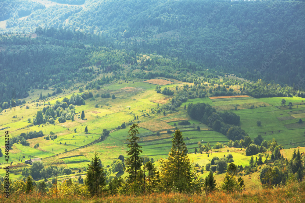 Naklejka premium Summer landscapes in the Ukrainian Carpathian Mountains with beautiful mountain valleys and views of the ridge.